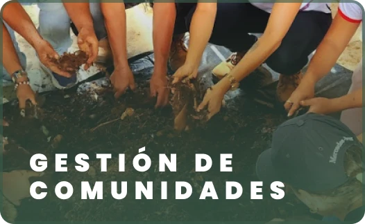 Gestión de Comunidades